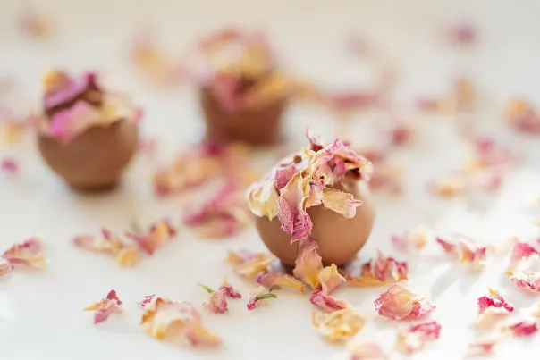 JokerBet Casino Aip Android/iOS